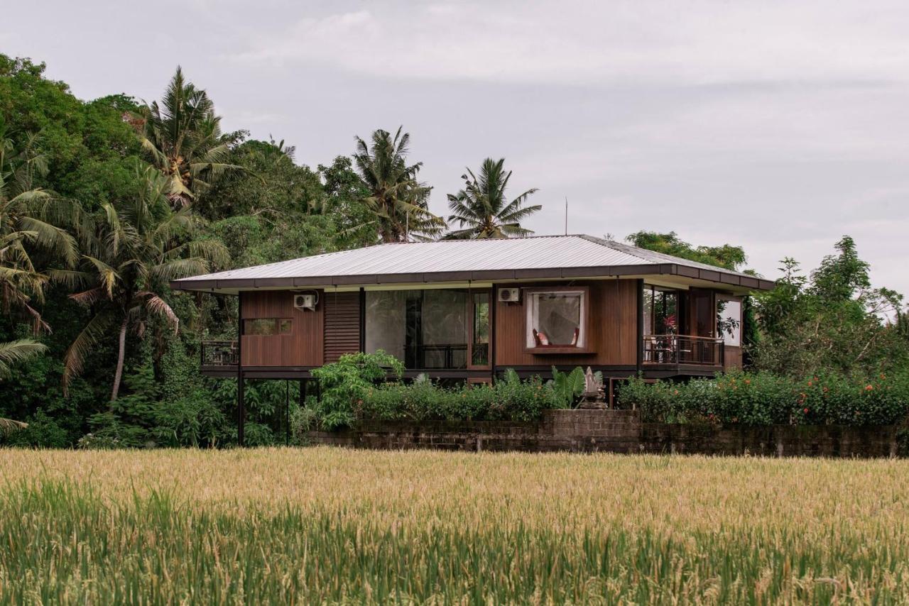 3 Bedrooms Tropical Modernism Rice Field And Jungle *