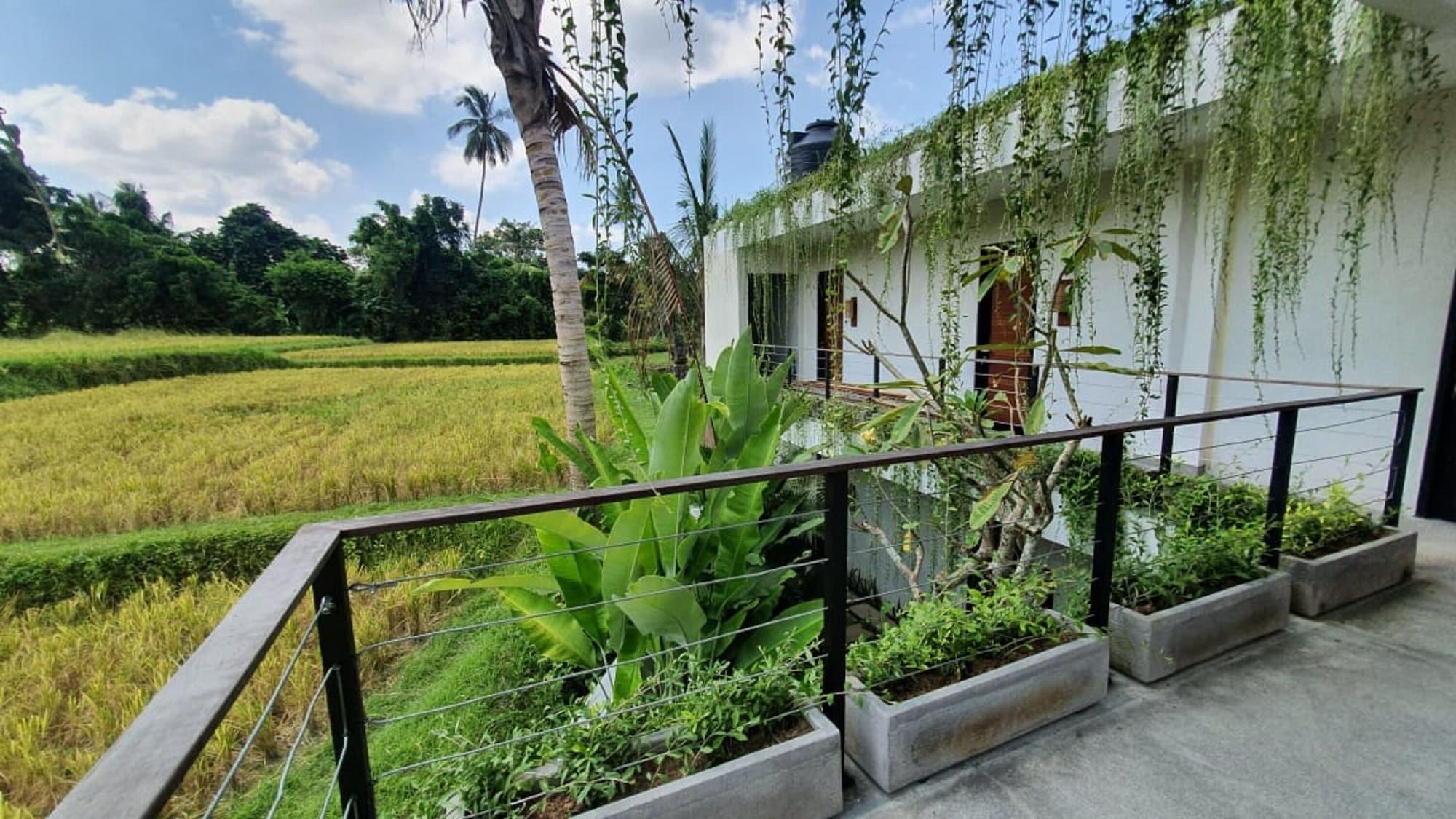 Pandawa Ubud (Bali)