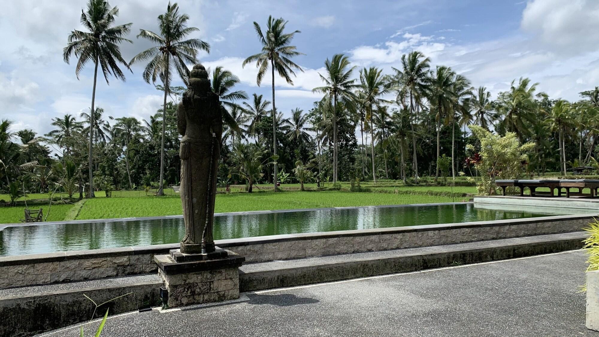 Hotel Pajar House & Ubud (Bali)