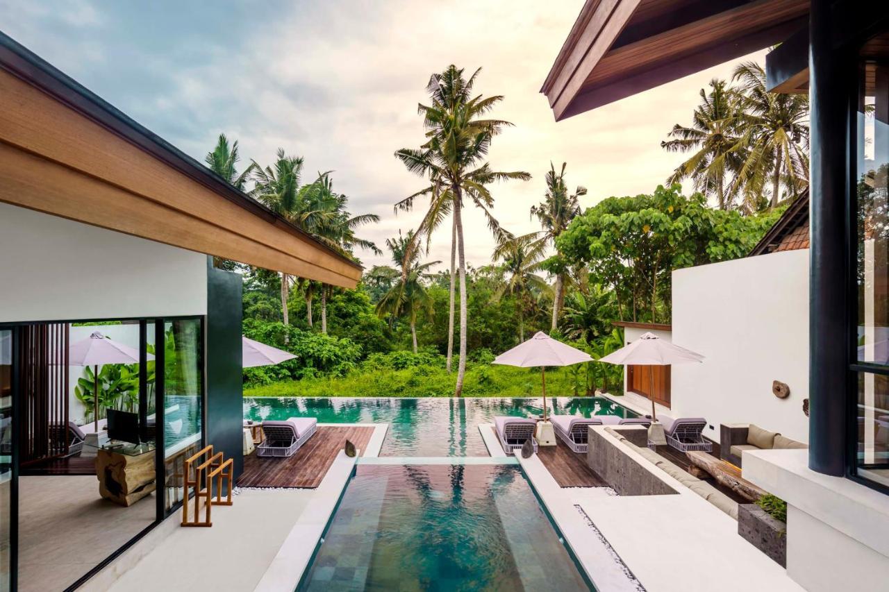 Paradise *