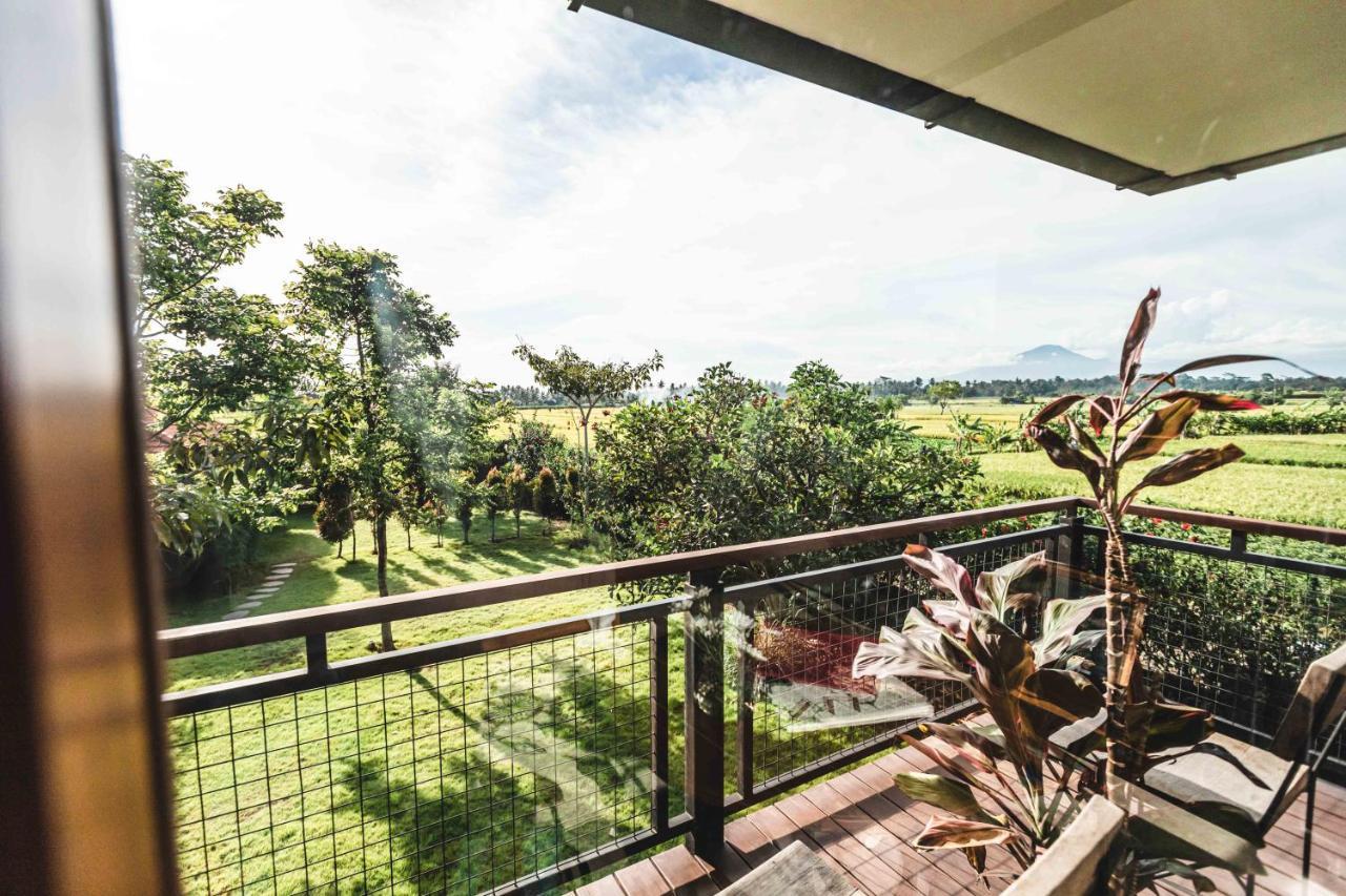 Villa 3 Bedrooms Tropical Modernism Rice Field And Jungle *