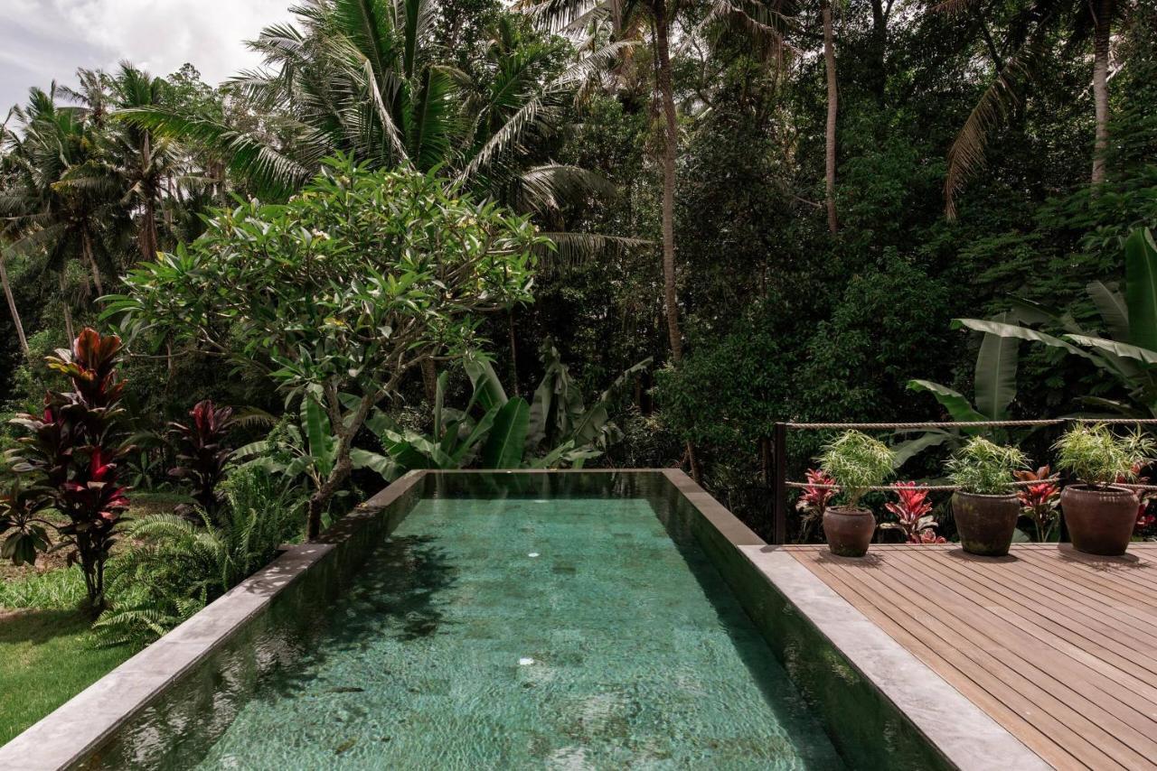 Villa 3 Bedrooms Tropical Modernism Rice Field And Jungle