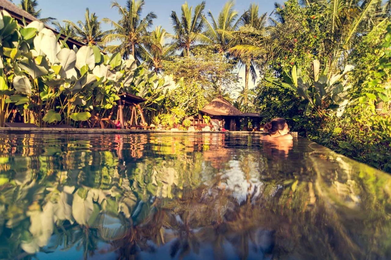 Holiday park Dragonfly Village Ubud (Bali)