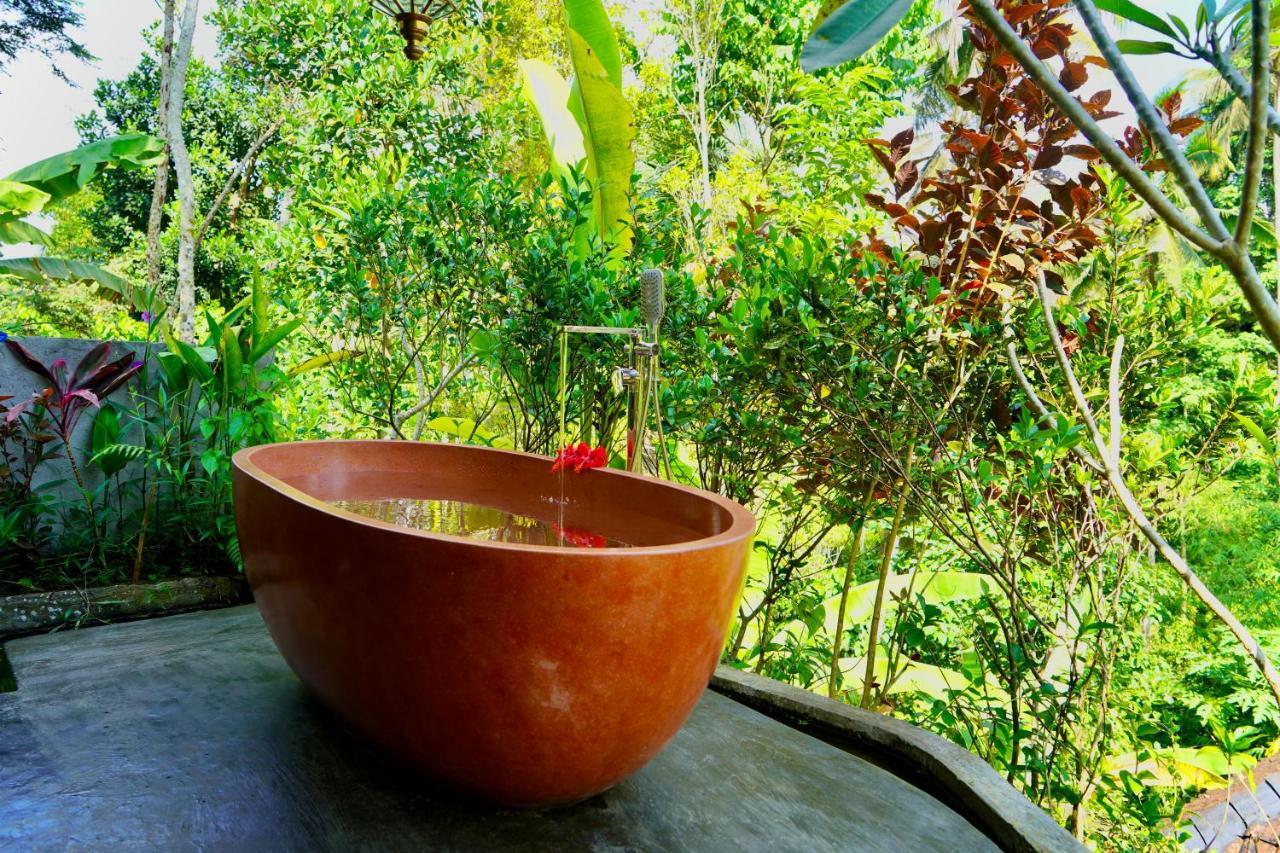 bahay-panuluyan Jungle Lotus 3*
