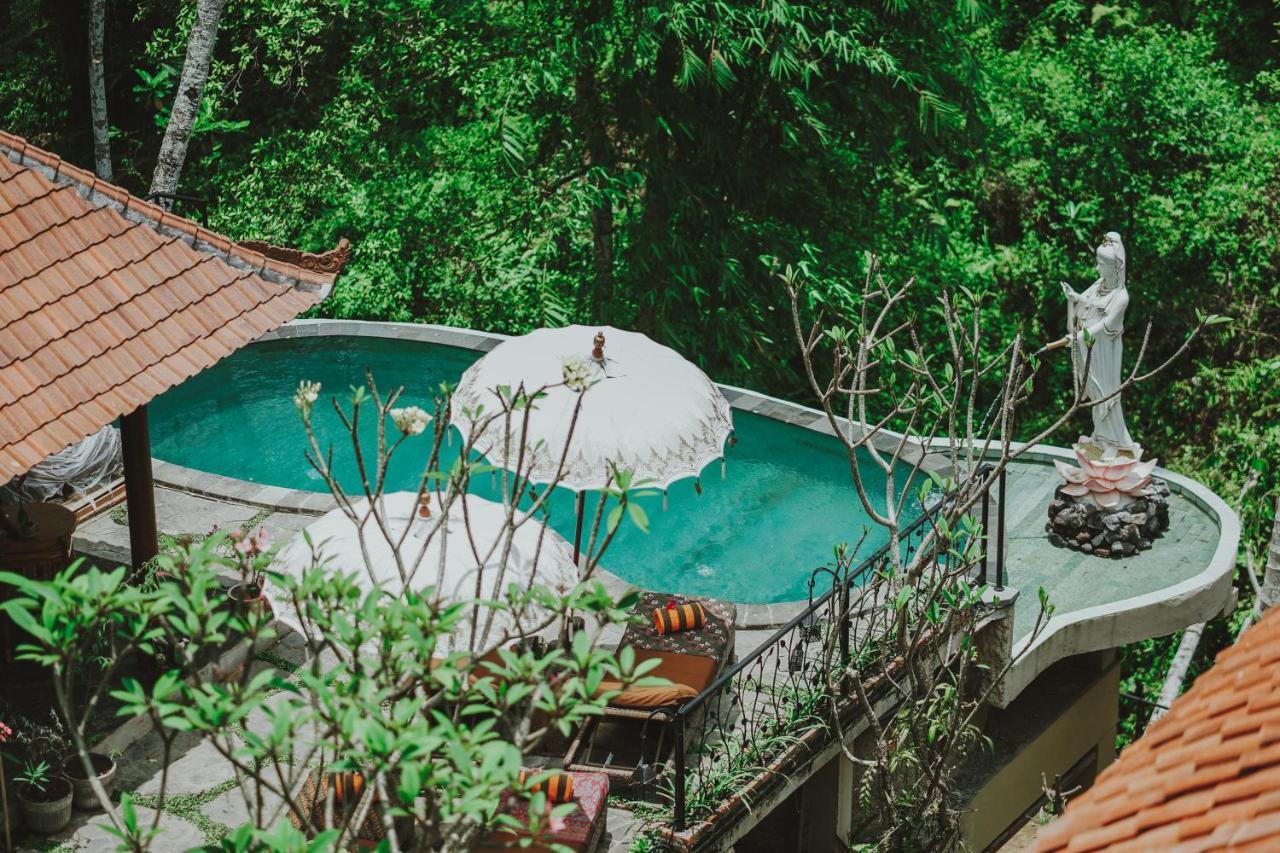 Jungle Lotus bahay-panuluyan 3*