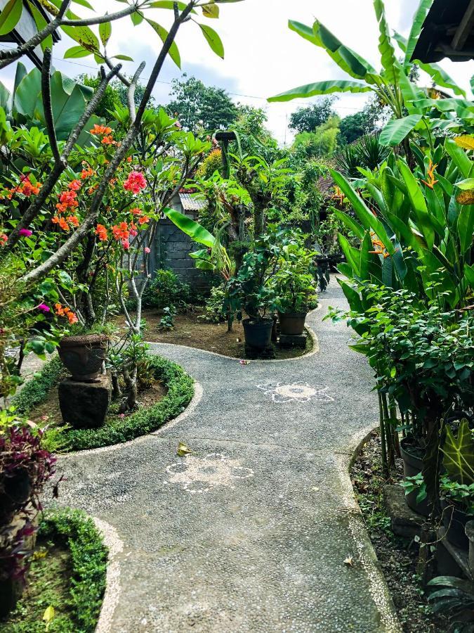 Rayshiva * Ubud (Bali)