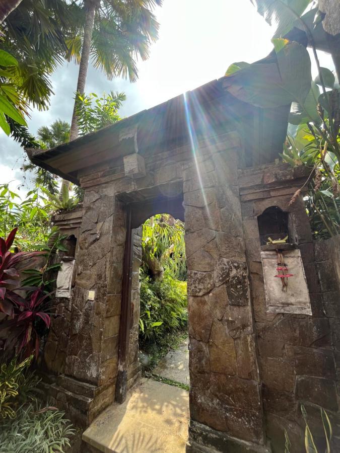 Unique Villa