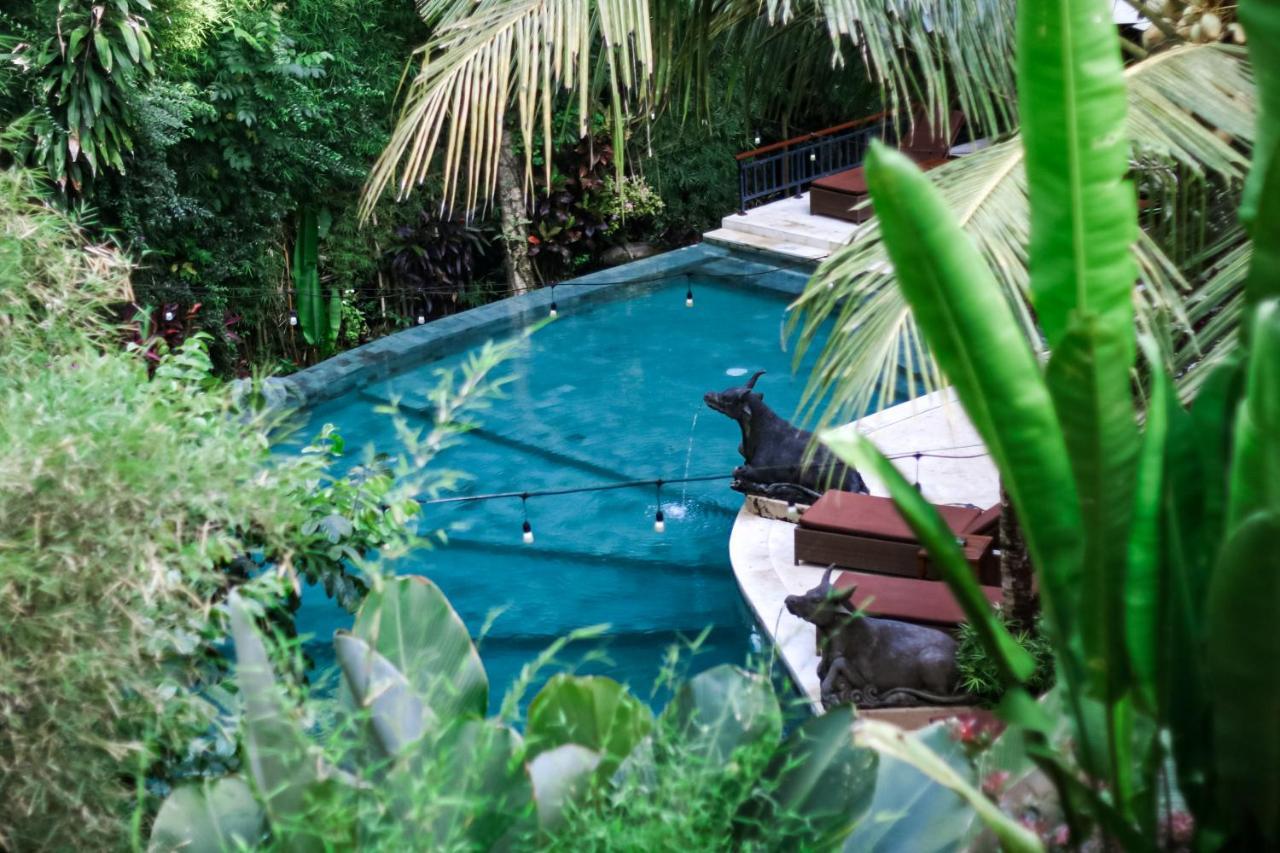 Guest house Jungle Haven Ubud (Bali)