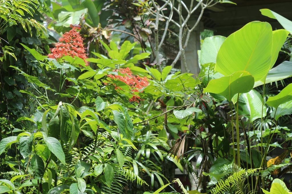 Karang Mesari Casa de hóspedes
