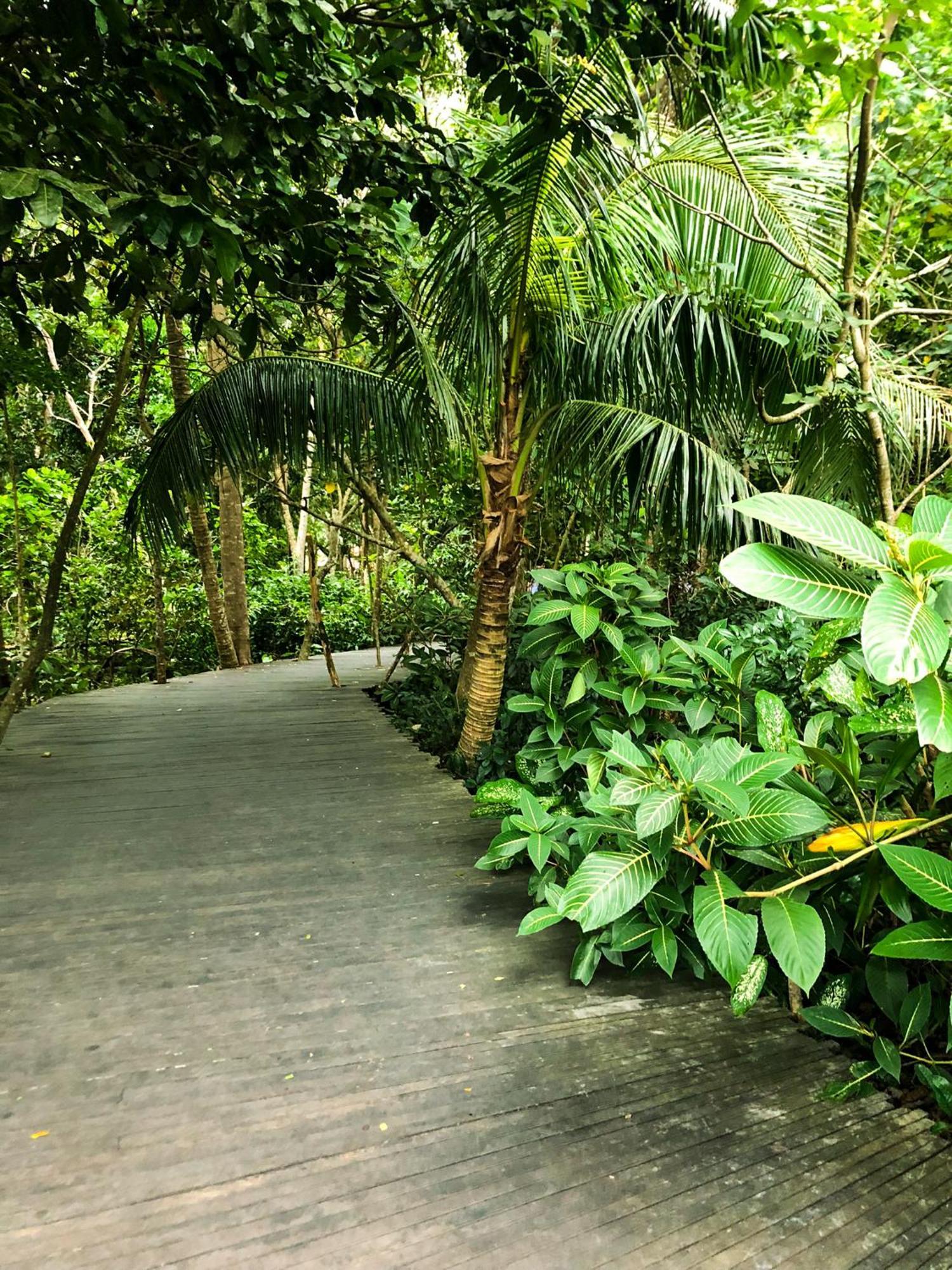 Rayshiva Homestay