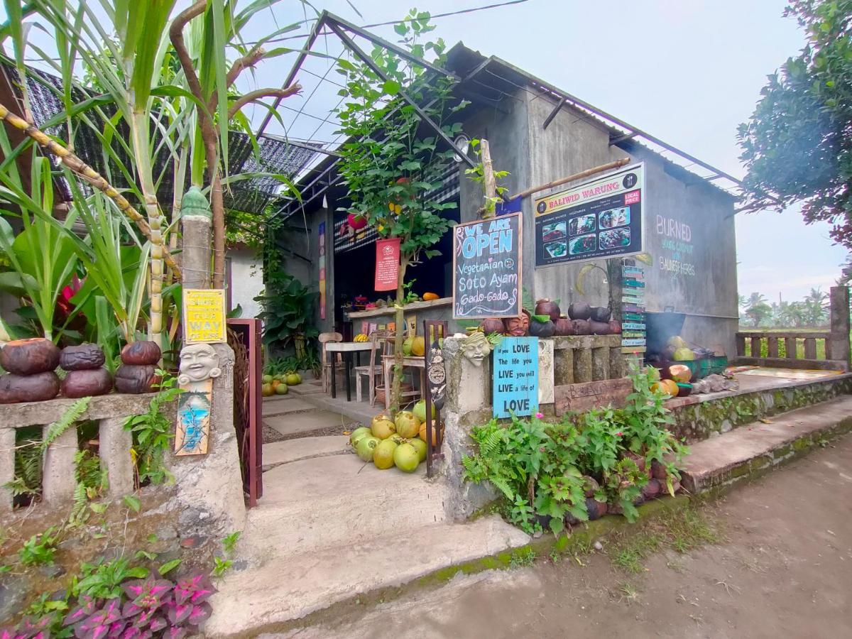 Bed & Breakfast D'nanda Ubud (Bali)