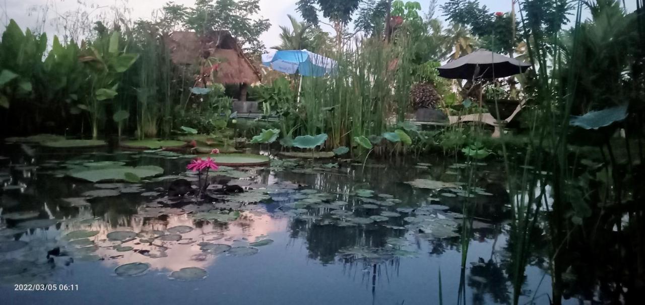 Leke Leke House Tegallalang * Ubud (Bali)