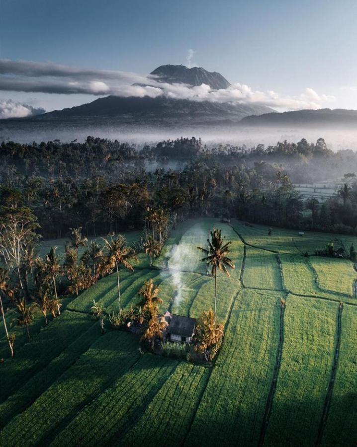 Lod Ubud (Bali)
