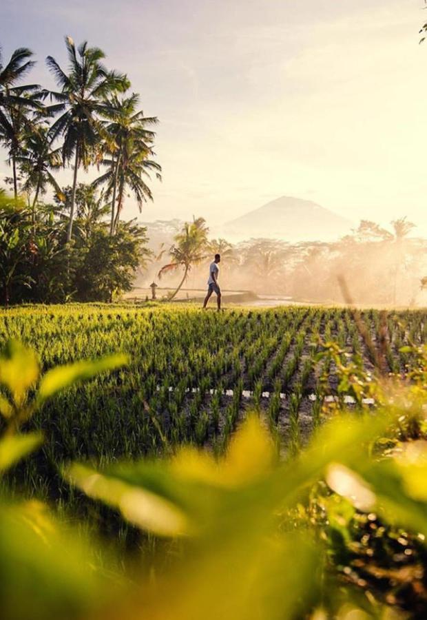 Lod Villa Ubud (Bali)
