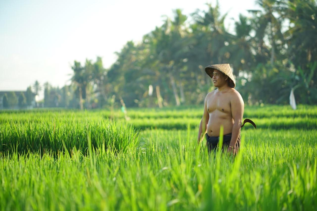 Asri Sari Ubud (Bali)
