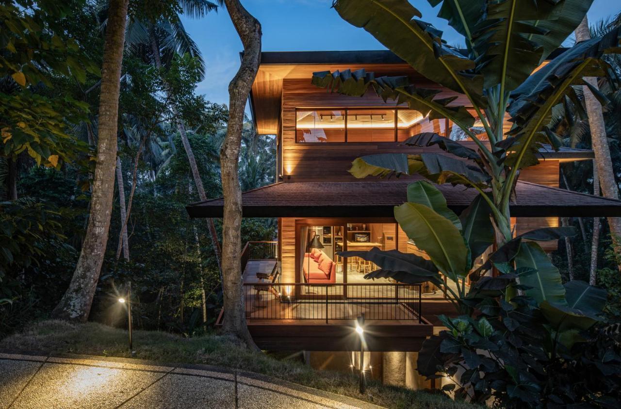 Bird Bali