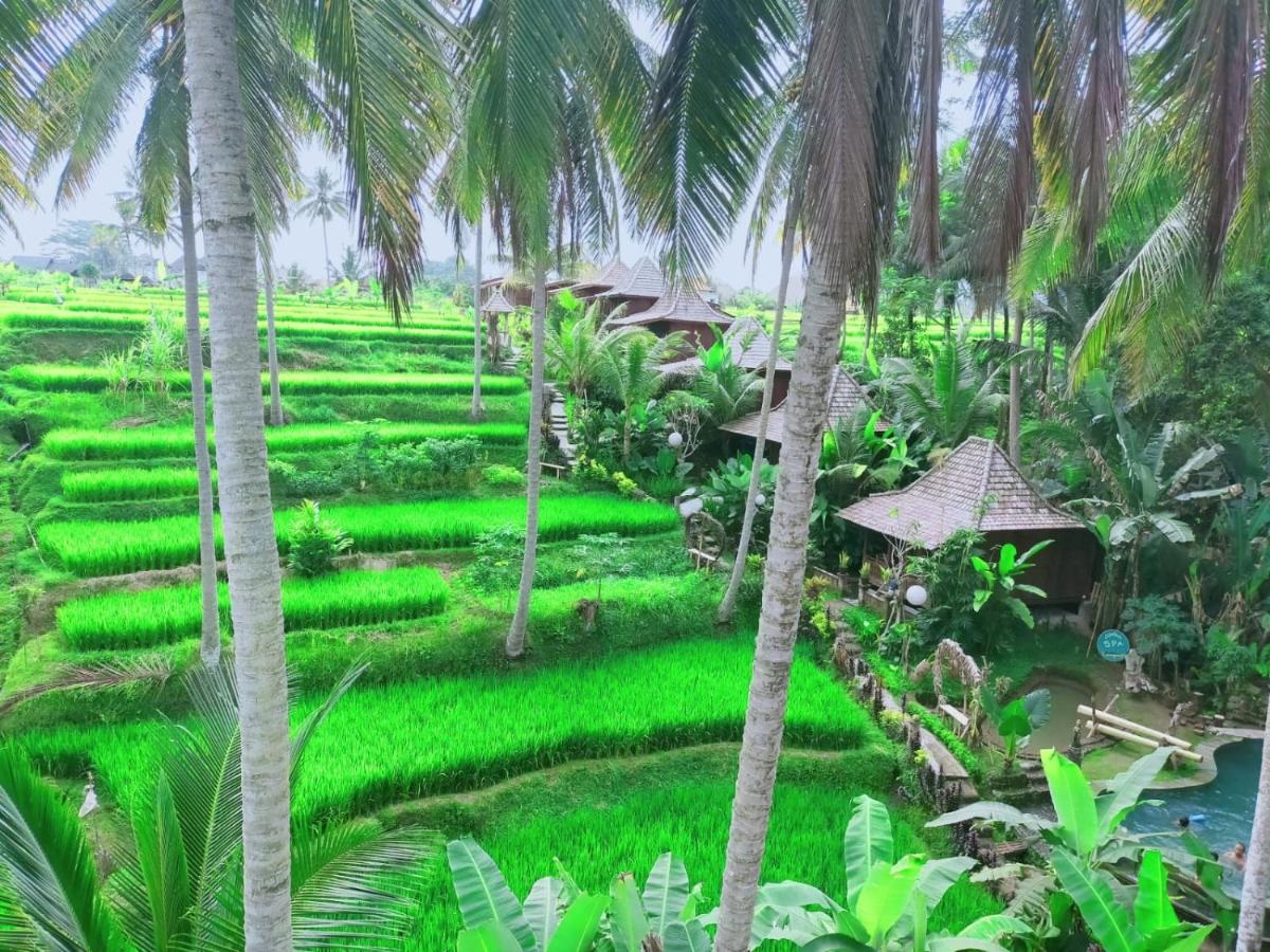 Ferienpark Junjungan