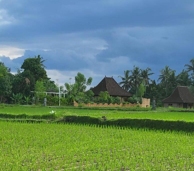 The Morgan With Rice Field View Villa