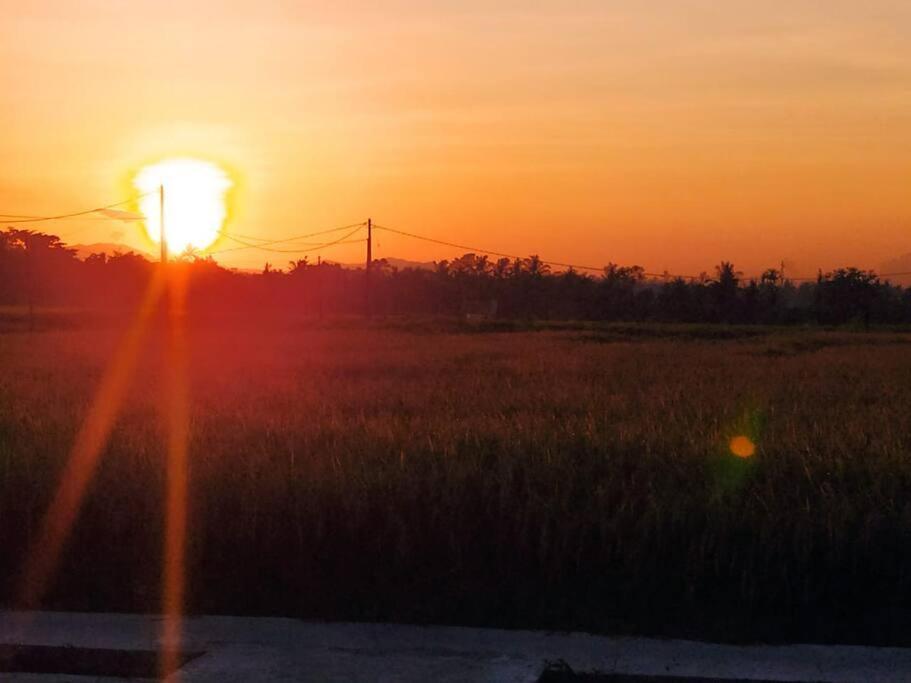The Morgan With Rice Field View Villa