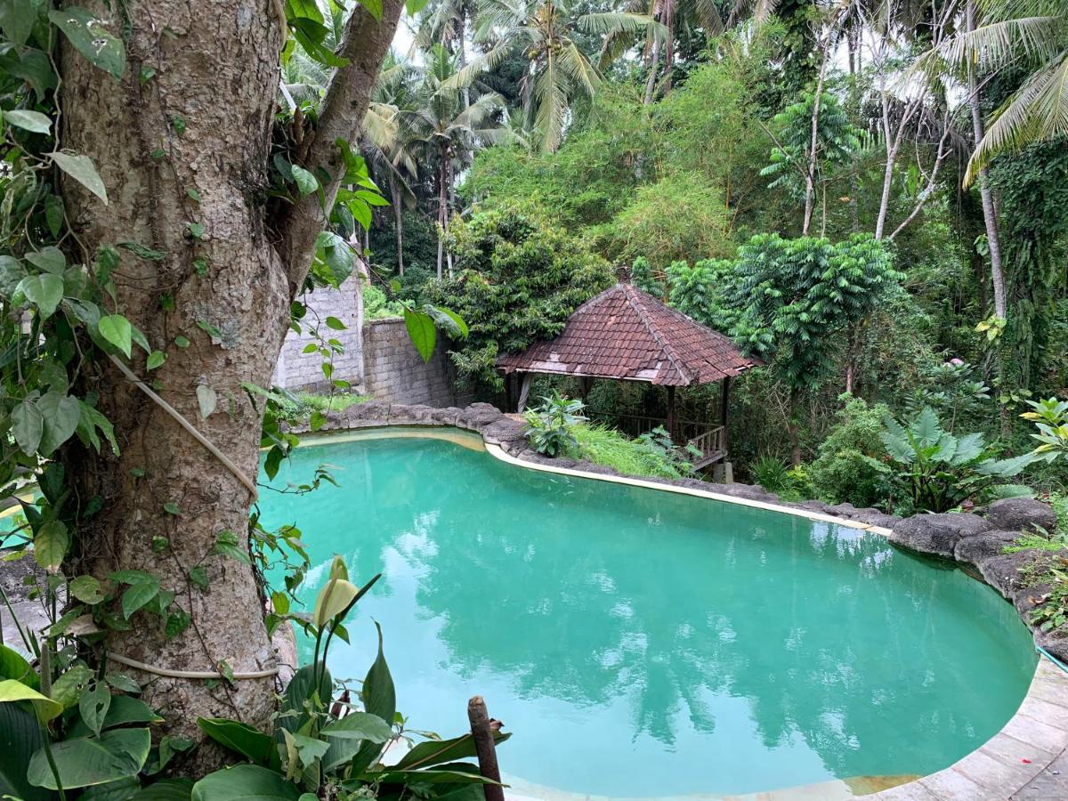 Guest house Wonder-land Ubud (Bali)