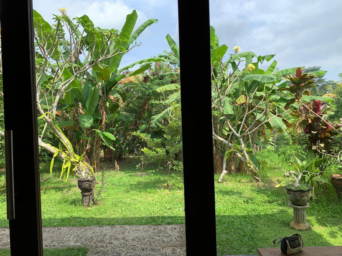 Wonder-land Ubud (Bali)