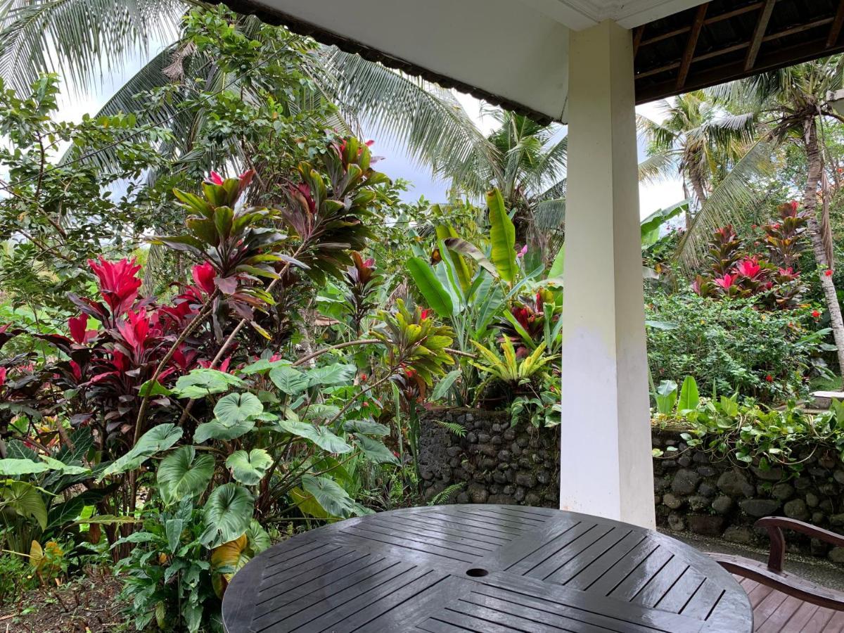 Wonder-land Guest house 3*
