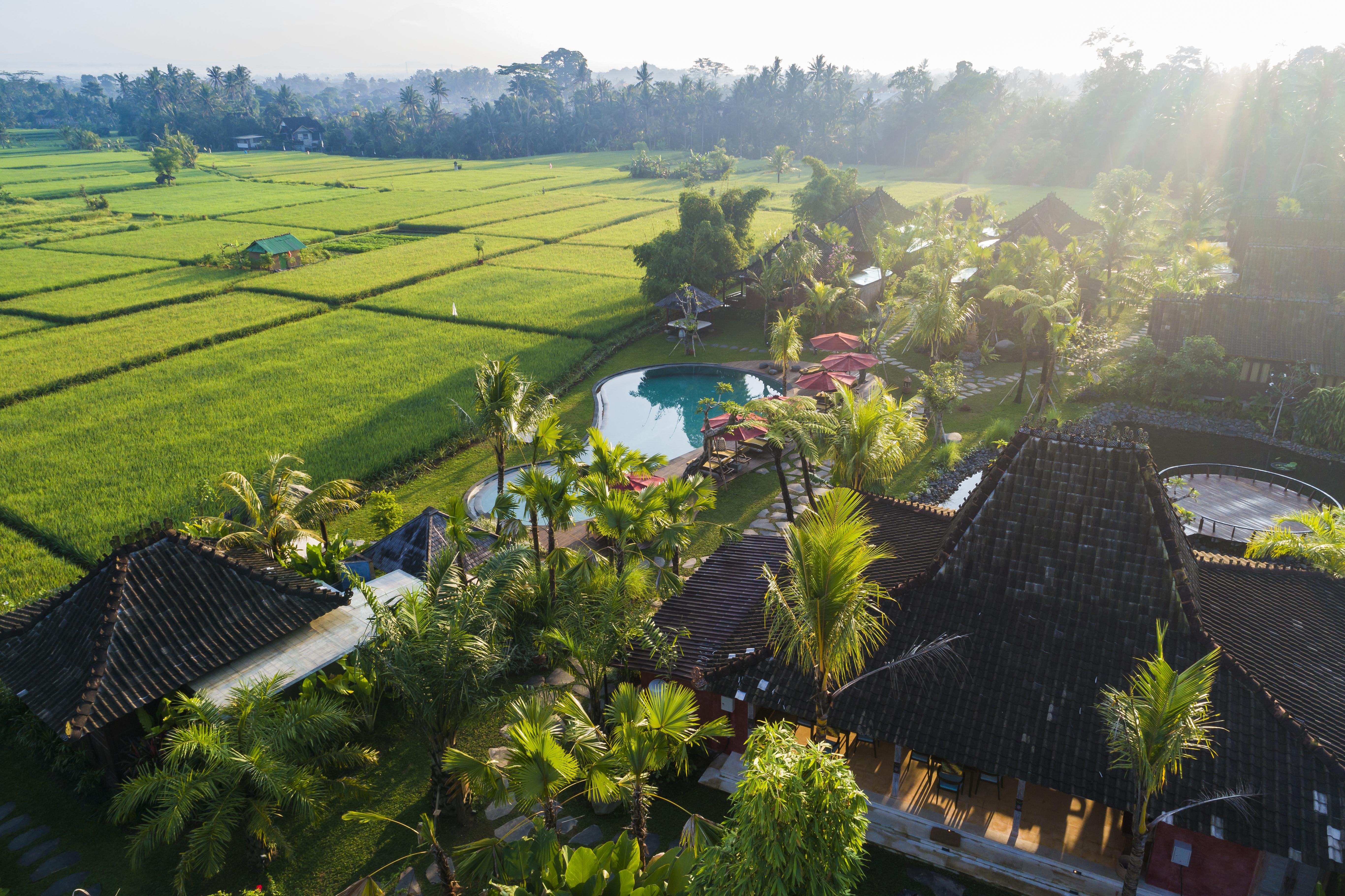Adiwana Arya 4* Ubud