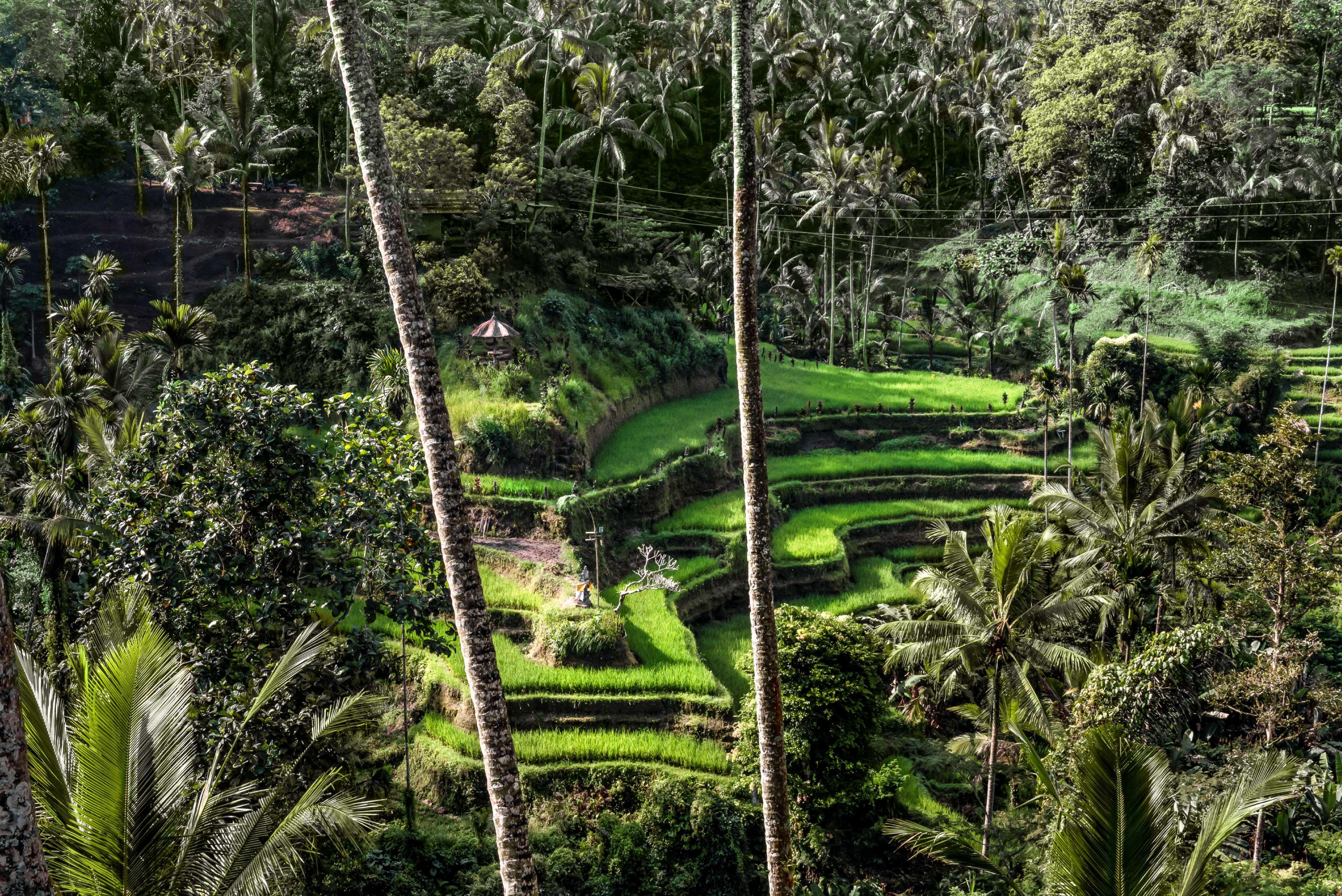 Hotel Amandari Ubud (Bali)