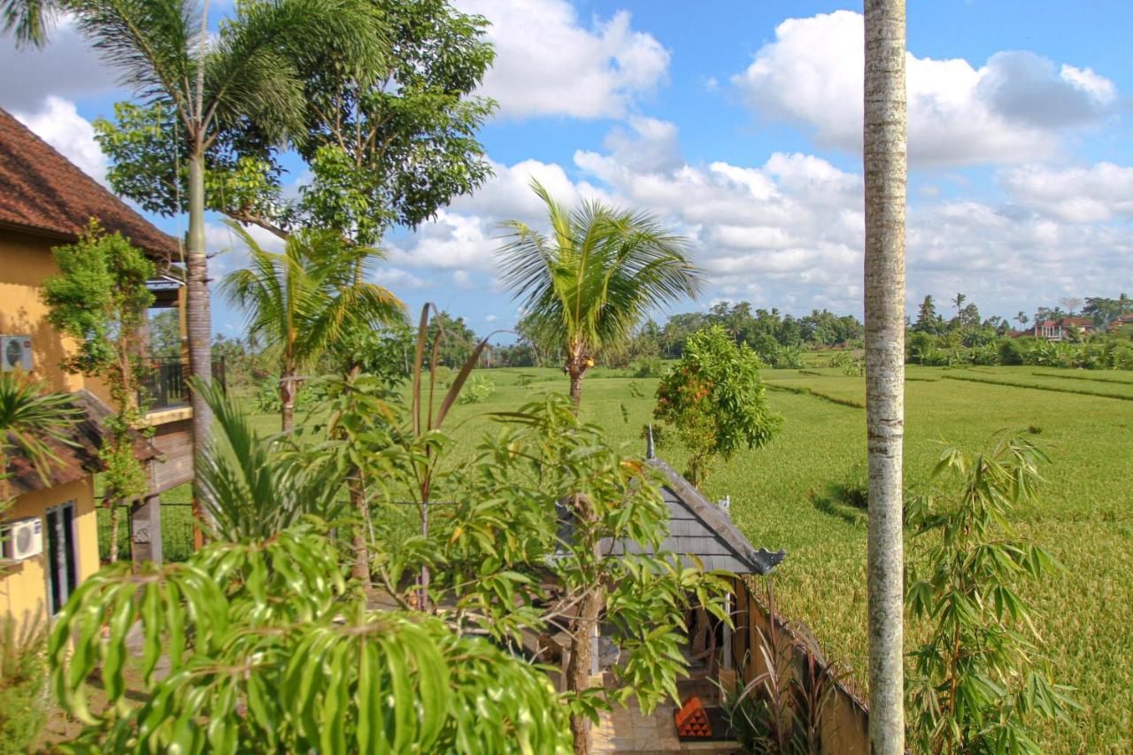 Kubu Sari