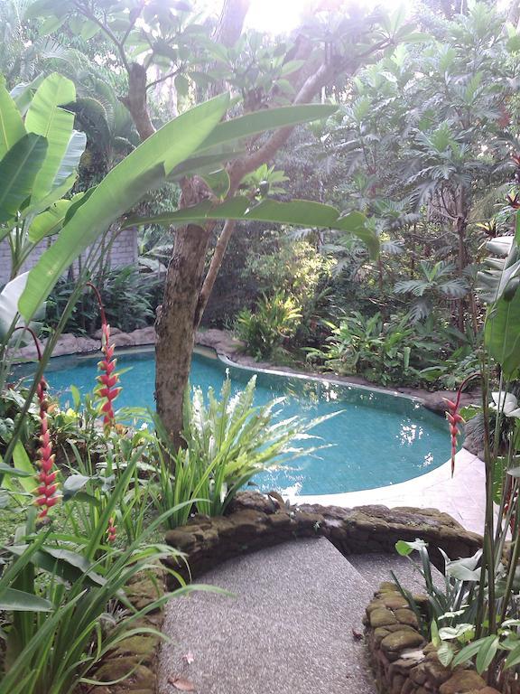 Guest house Wonder-land