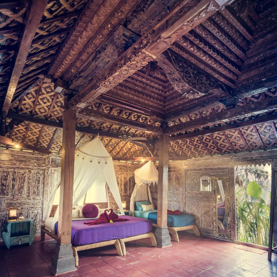 Dragonfly Village 3* Ubud (Bali)