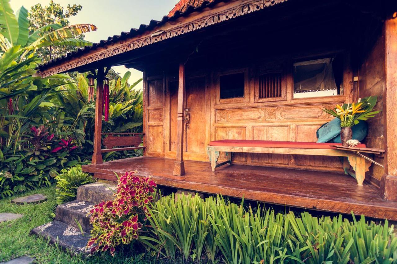 Dragonfly Village Holiday park Ubud (Bali)
