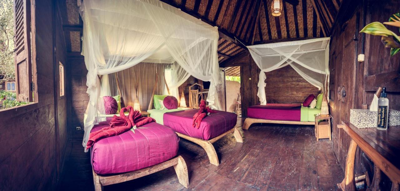 Holiday park Dragonfly Village 3*