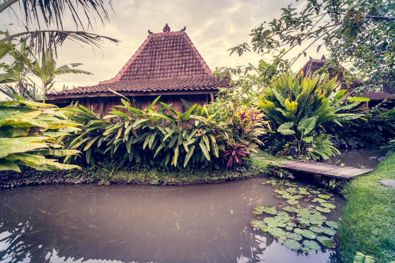 Dragonfly Village Ubud (Bali)