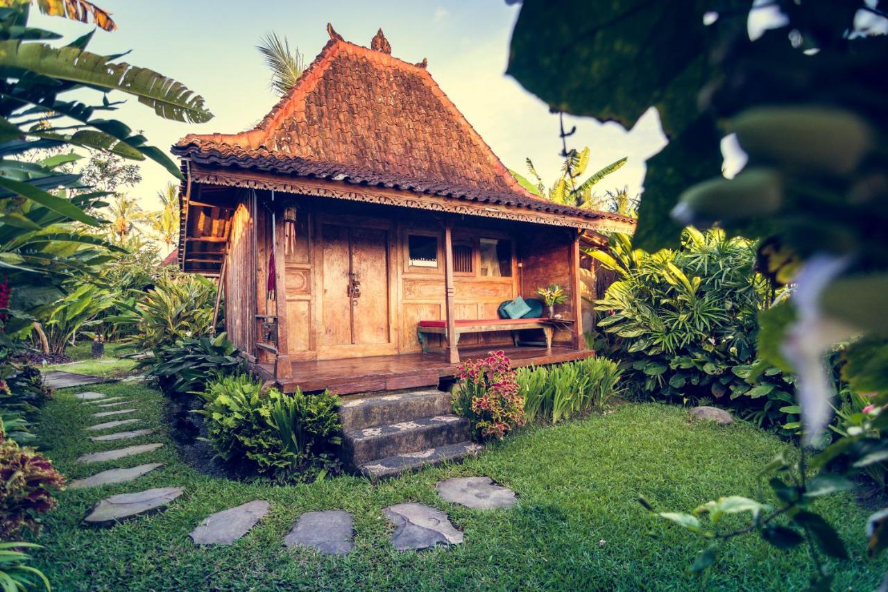 Dragonfly Village Ubud (Bali)