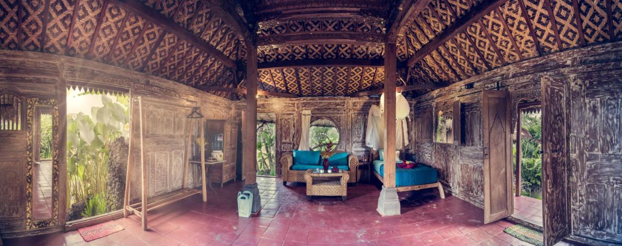 Holiday park Dragonfly Village Ubud (Bali)