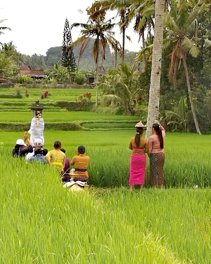 Bed & Breakfast Taman Eden Ubud (Bali)