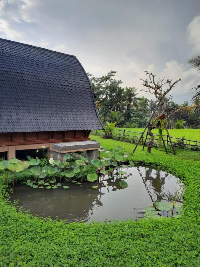 Lodge Gandalangu Ubud-dikelilingi Hamparan Sawah