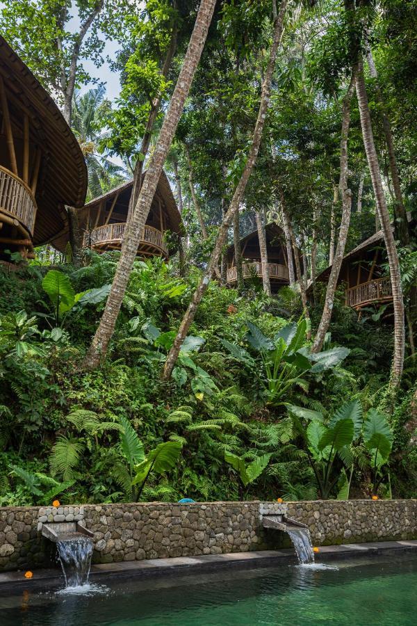 Pondok Bamboo Turtles Ubud (Bali)