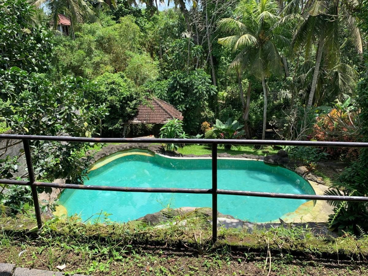 Wonder-land Guest house