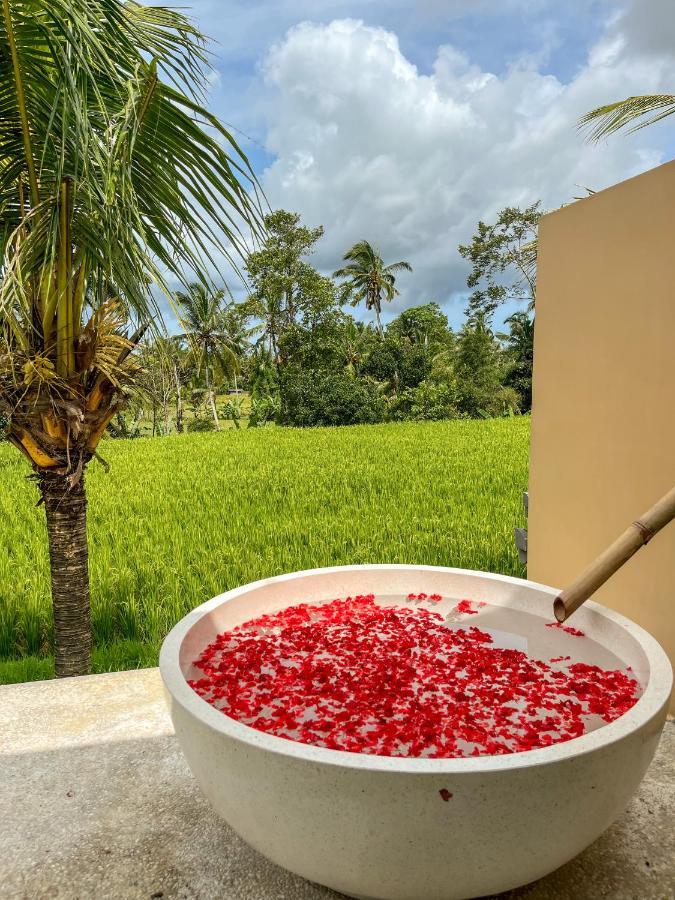 Woywoy Escape Samu (adults Only) Lodge