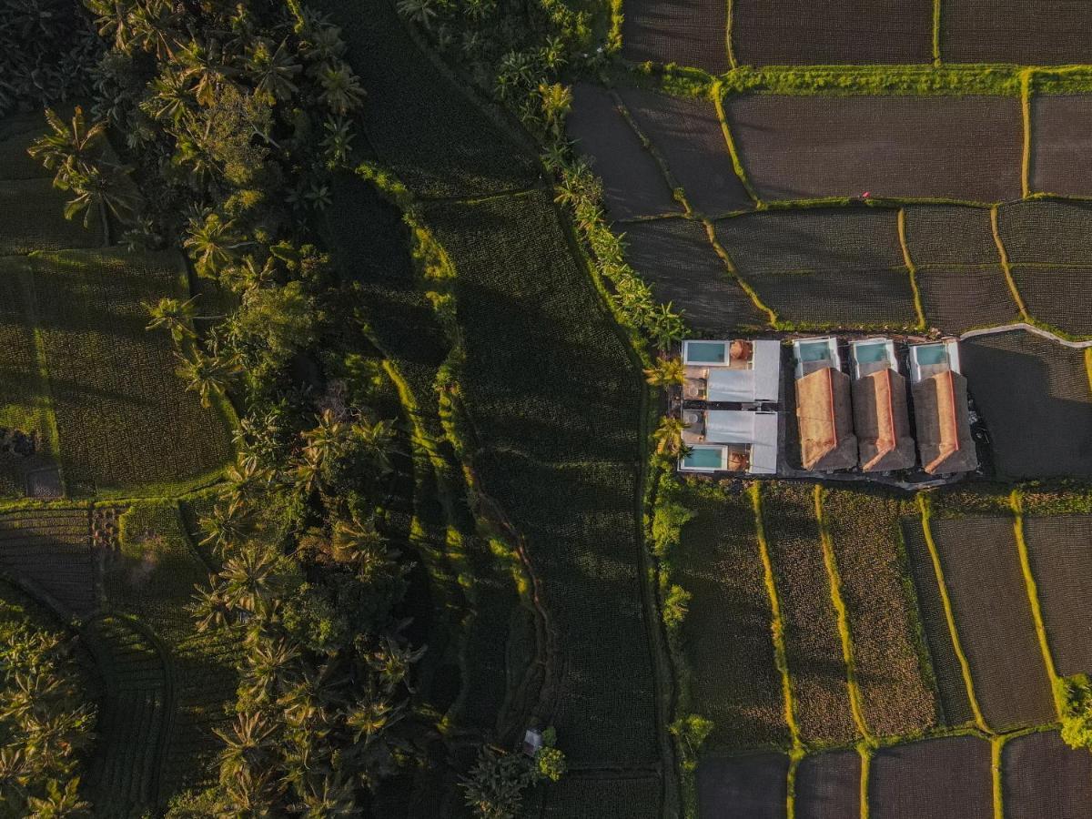 Lodge Woywoy Escape Samu (adults Only) Ubud (Bali)
