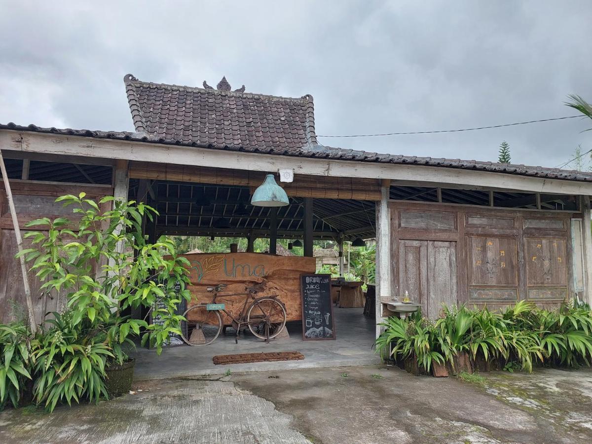 Guest house Kishi-kishi