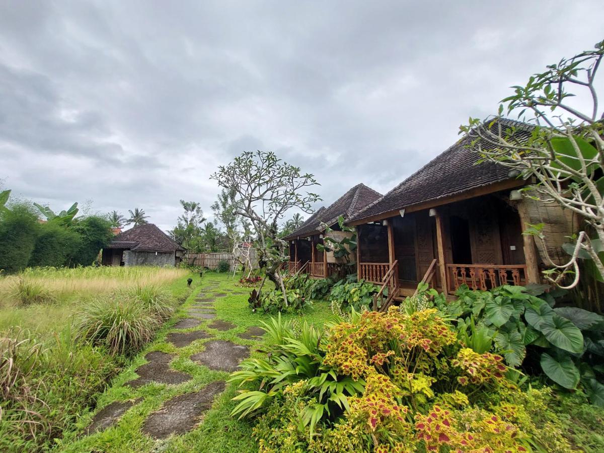 Kishi-kishi Guest house