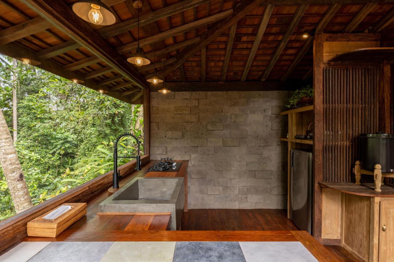 Casa Pohon