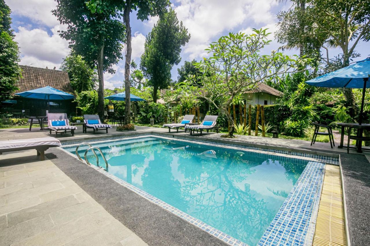 Canvas Escape Hotel