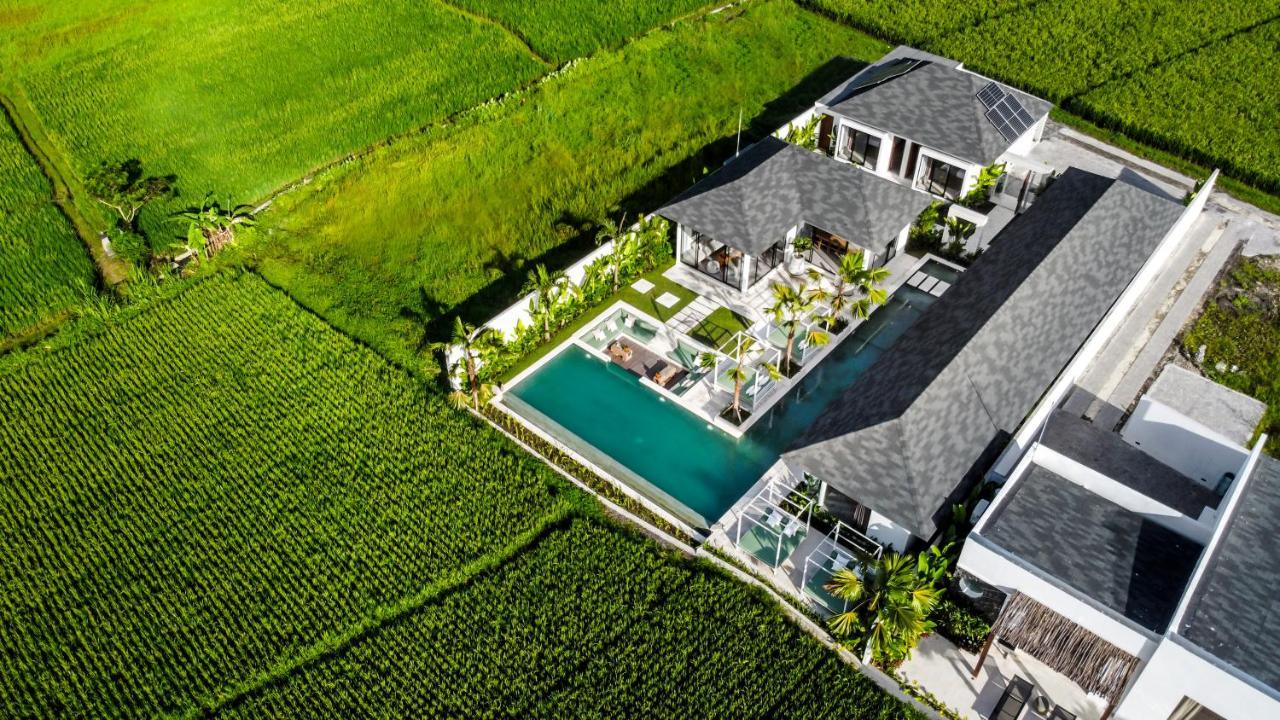 Pousada Nature View By Balisuperhost Ubud