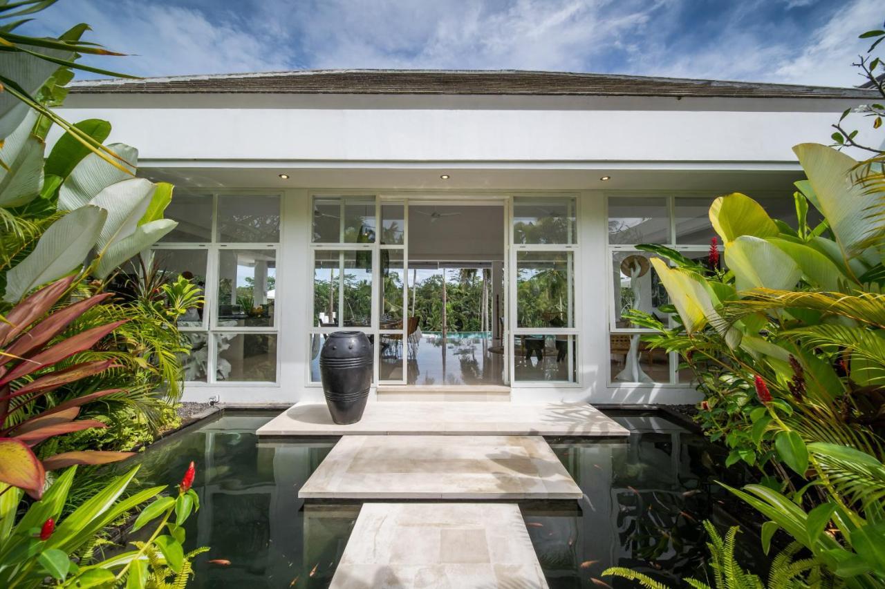 New! Amazing Jungle View 4 Br W Staff *