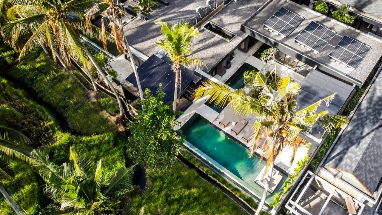 Palm Paradise By Balisuperhost Pousada Ubud