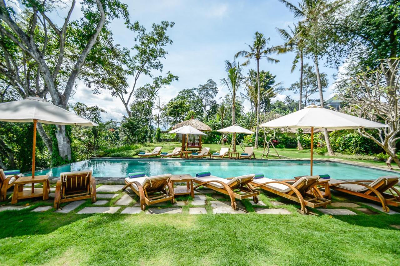 Apartemen Hidden Gem *